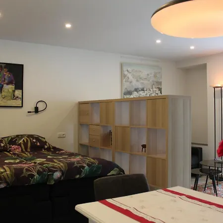 Appartement Dersaborg Valkenburg aan de Geul